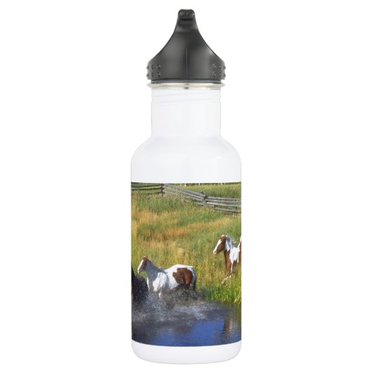 De mooie Natuur van het Lot van de Boerderij van Waterfles (Rechts)