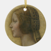 De mooie prinses (van Leonardo da Vinci)