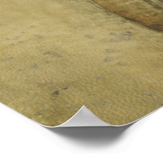 De mooie prinses (van Leonardo da Vinci) Poster (Hoek)