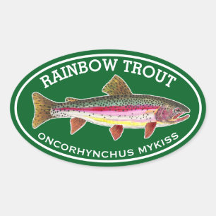 De Mooie Regenboogforel Ovale Sticker
