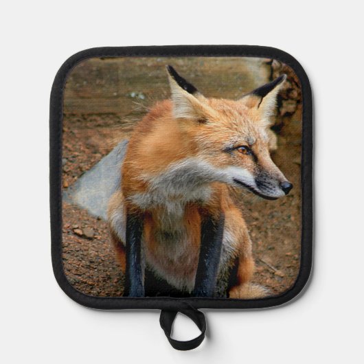 De mooie rode vos pannenlap (Voorkant)