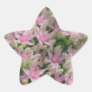 De mooie Roze Tropische Sticker van Bloemen