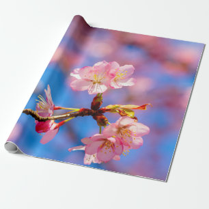 De mooie Sakura Beauty tegen de blauwe hemel Cadeaupapier