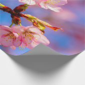 De mooie Sakura Beauty tegen de blauwe hemel Cadeaupapier (Hoek)