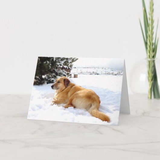 De mooie Scène van de Hond van het Golden Feestdagen Kaart (Voorkant)