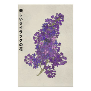 De Mooie Sering Bloem Perfect Poster