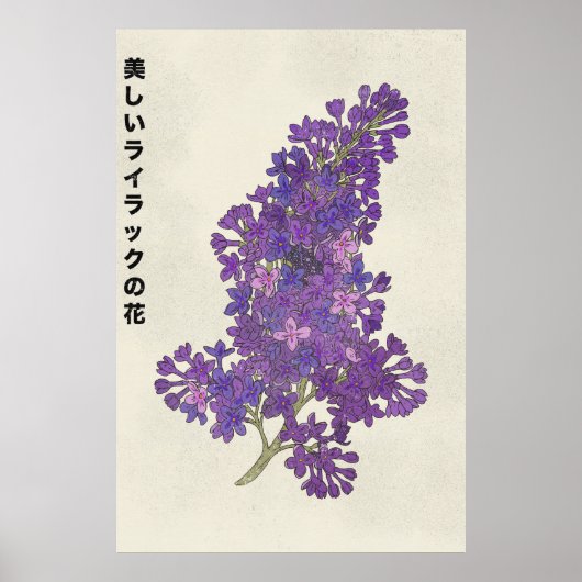 De Mooie Sering Bloem Poster (Voorkant)