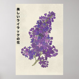De Mooie Seringbloem Poster