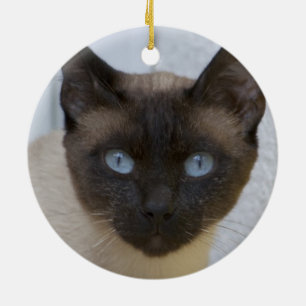 De mooie Siamese Kat van het Punt van de Keramisch Ornament