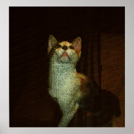 De Mooie Snoes Poster