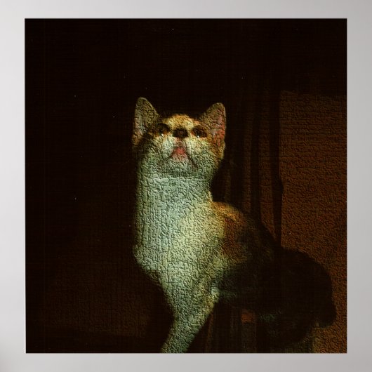 De Mooie Snoes Poster (Voorkant)