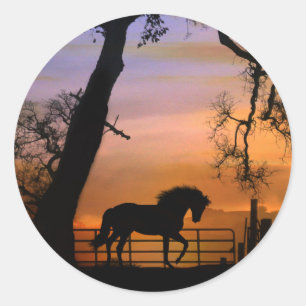 De mooie Stickers van het Paard