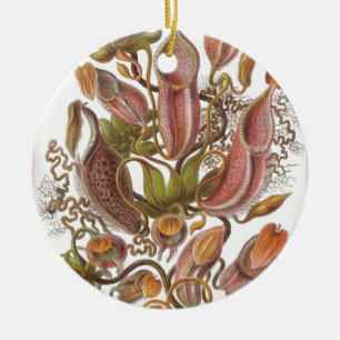 De mooie tekening van het waterkruikplant door keramisch ornament