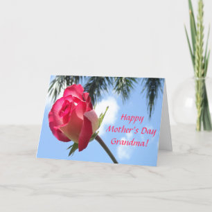 De mooie Tropische Gelukkige Kaarten van de Oma