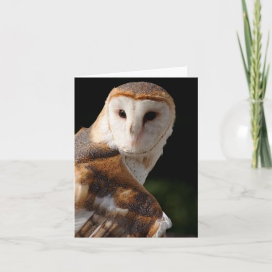 De mooie Uil van de Schuur notecard Kaart (Voorkant)