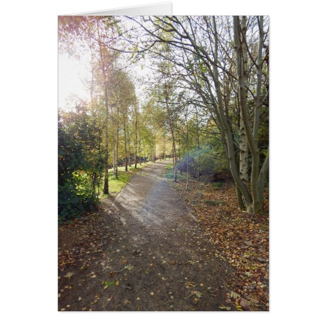 De mooie weg (Voorkant)