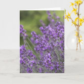 De mooie Wenskaarten van de Gebieden van de Kaart (Gele Bloem)