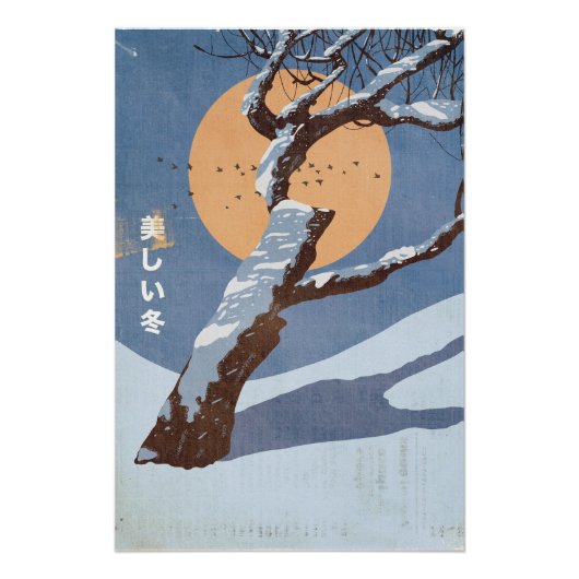 De Mooie Winter Perfect Poster (Voorkant)