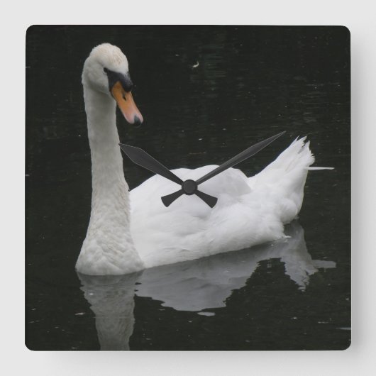 De mooie Witte Klok van de Zwaan (Voorkant)