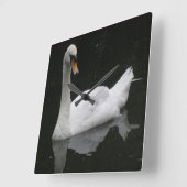 De mooie Witte Klok van de Zwaan (Hoek)