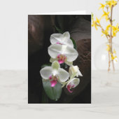 De mooie witte orchideeënsympathie of dankt u kaart (Gele Bloem)