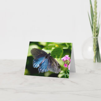 De mooie zwarte en blauwe kaart van de vlindernota