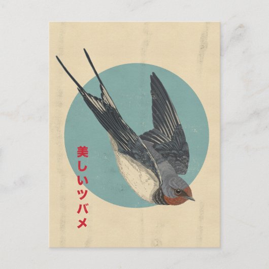 De Mooie Zwwaluw Briefkaart (Voorkant)