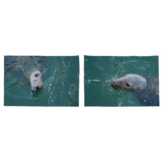 De mooiste grijze zeehonden van Chatham Kussensloop (Achterkant-Set)