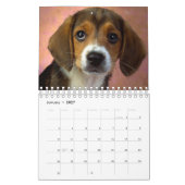De mooiste Puppies ter wereld Kalender (Jan 2027)