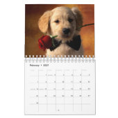 De mooiste Puppies ter wereld Kalender (Feb 2027)
