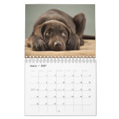 De mooiste Puppies ter wereld Kalender (Mar 2027)