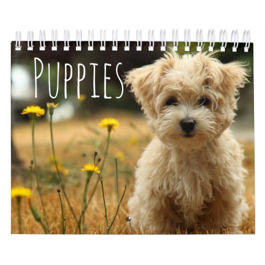 De mooiste Puppies ter wereld Kalender (Hoes)
