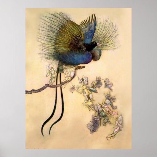 “De mooiste vogel” door Warwick Goble Poster (Voorkant)