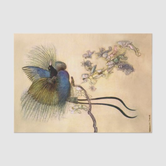 “De mooiste vogel” door Warwick Goble Tissuepapier (Voorkant)