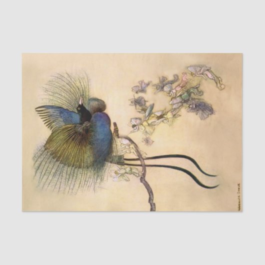 "De mooiste vogel van Warwick Goble" Tissuepapier (Voorkant)
