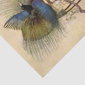"De mooiste vogel van Warwick Goble" Tissuepapier (Detail)