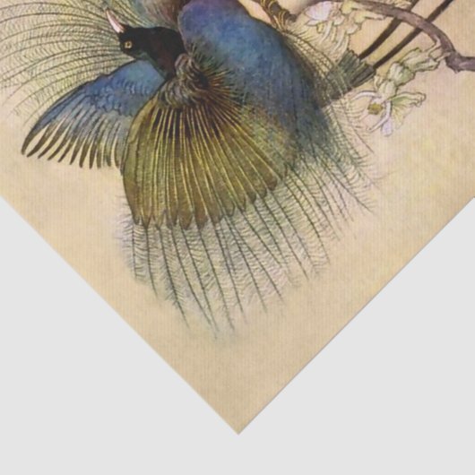 "De mooiste vogel van Warwick Goble" Tissuepapier (Detail)