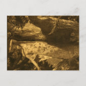 De Moonlight Guardians of the Night Briefkaart (Voorkant)