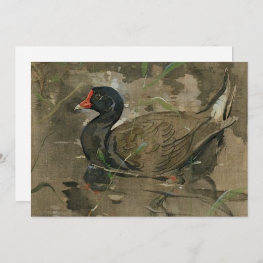 De Moorhen | Joseph Crawhall (Voorkant / Achterkant)