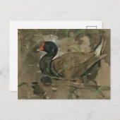 De Moorhen | Joseph Crawhall Briefkaart (Voorkant / Achterkant)