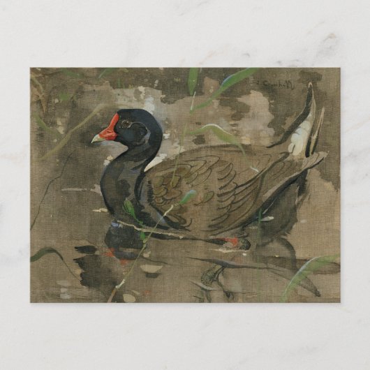 De Moorhen | Joseph Crawhall Briefkaart (Voorkant)