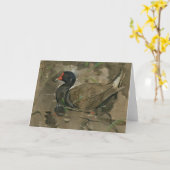 De Moorhen | Joseph Crawhall Kaart (Gele Bloem)