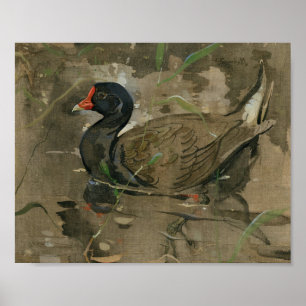 De Moorhen   Joseph Crawhall Poster