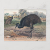 De Mooruk van Joseph Wolf Briefkaart (Voorkant)