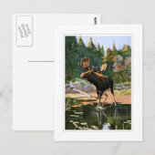 De Moose Briefkaart (Voorkant / Achterkant)