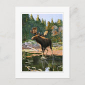 De Moose Briefkaart (Voorkant)