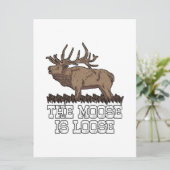 De Moose is los Save The Date (Staand voorkant)