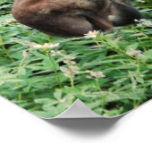 De Moose Poster (Hoek)