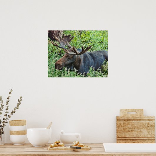 De Moose Poster (Keuken)