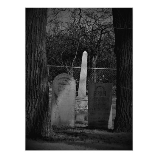 "De morbide nieuwsgierige" Foto Afdruk (Voorkant)